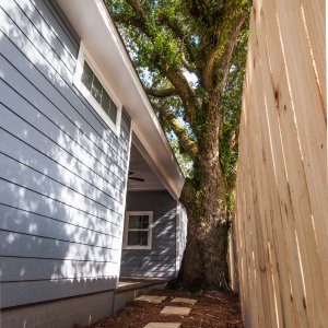 Stepping stones lead to porch by legacy oak tree outside Shotgun Cottage on Lloyd Street in East Hill by Good Foundations, Inc.